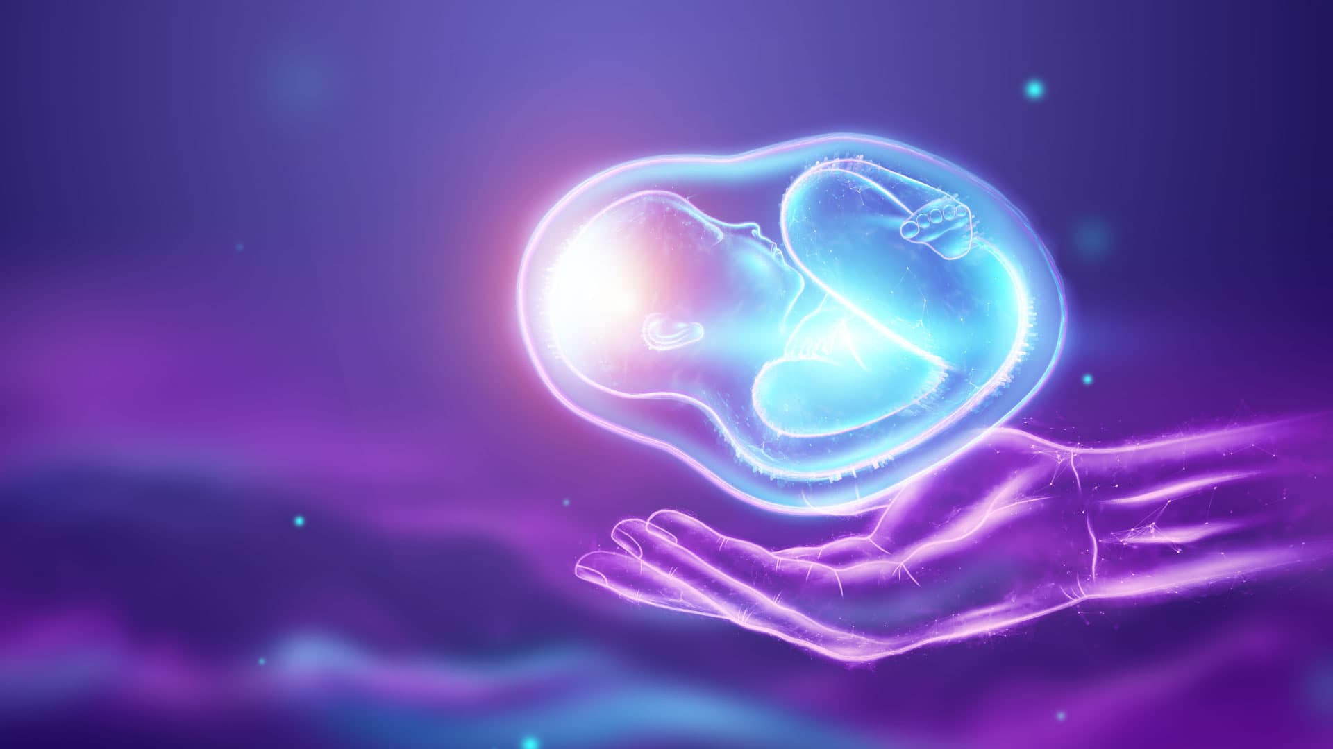 Impacto de la programación materno-fetal-neonatal