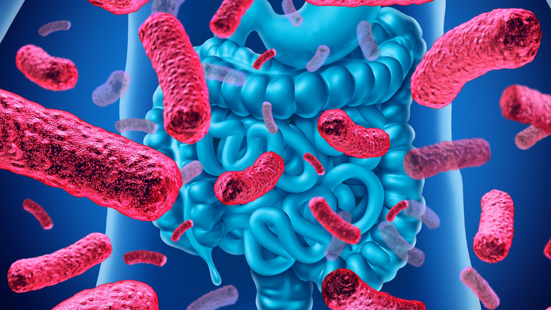Probióticos y Diabetes Gestacional