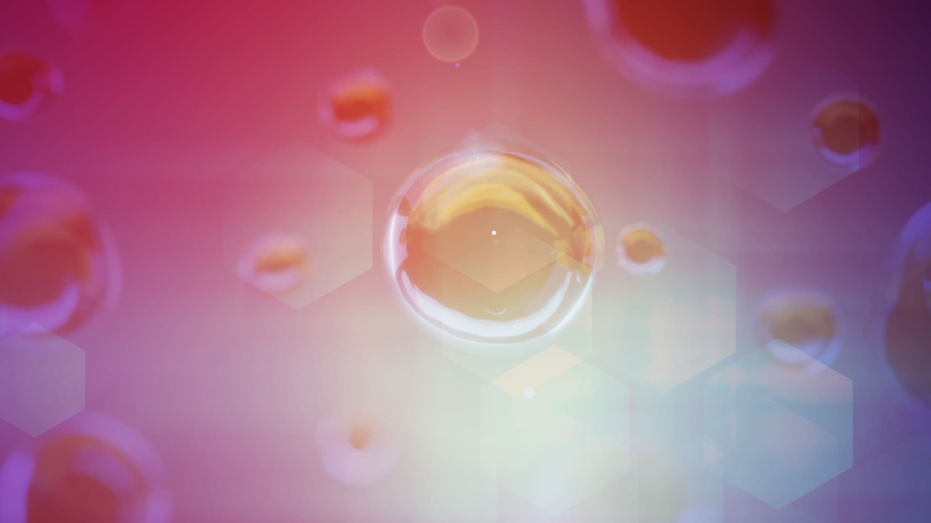 ¿Vitamina D3 o pre-hormona? Rompiendo paradigmas